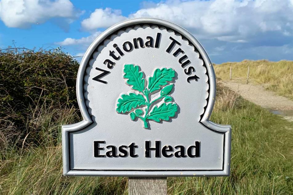 NT